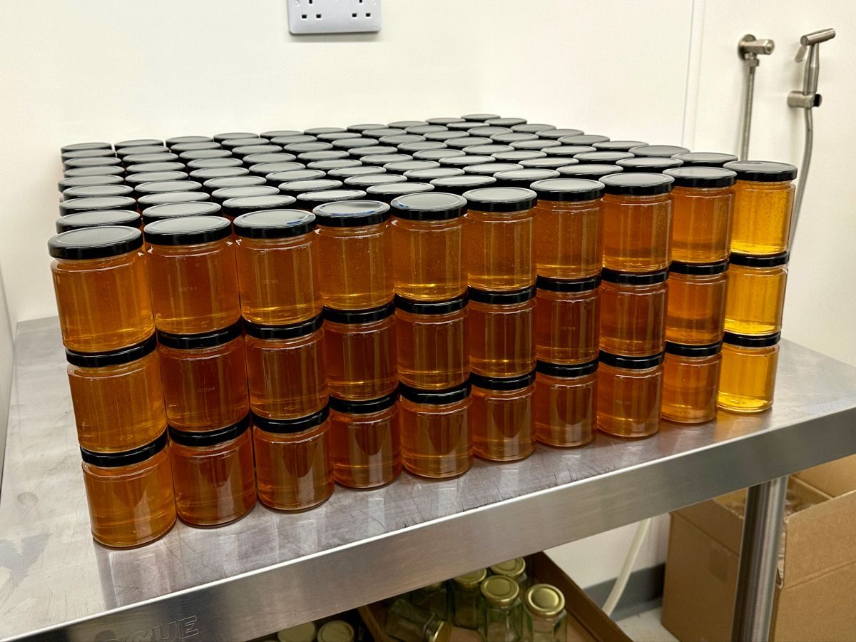 Beekeeping Consultation